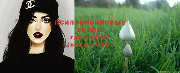 ПСИЛОЦИБИНОВЫЕ ГРИБЫ Алексеевка